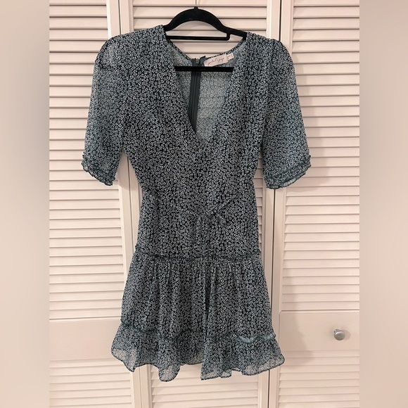 Petal & Pup Fairmont Dress! - Picture 2 of 4